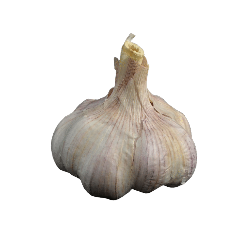 garlic, garlic bulb, tuber, aromatic plant, seasoning, food, cook, spice up, vegetables, to smell, kitchen, hearty, aromatic, nourishment, healthy, isolated, cut out, garlic, garlic, garlic, garlic, garlic