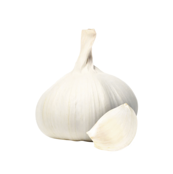 Ajo primera calibre 6