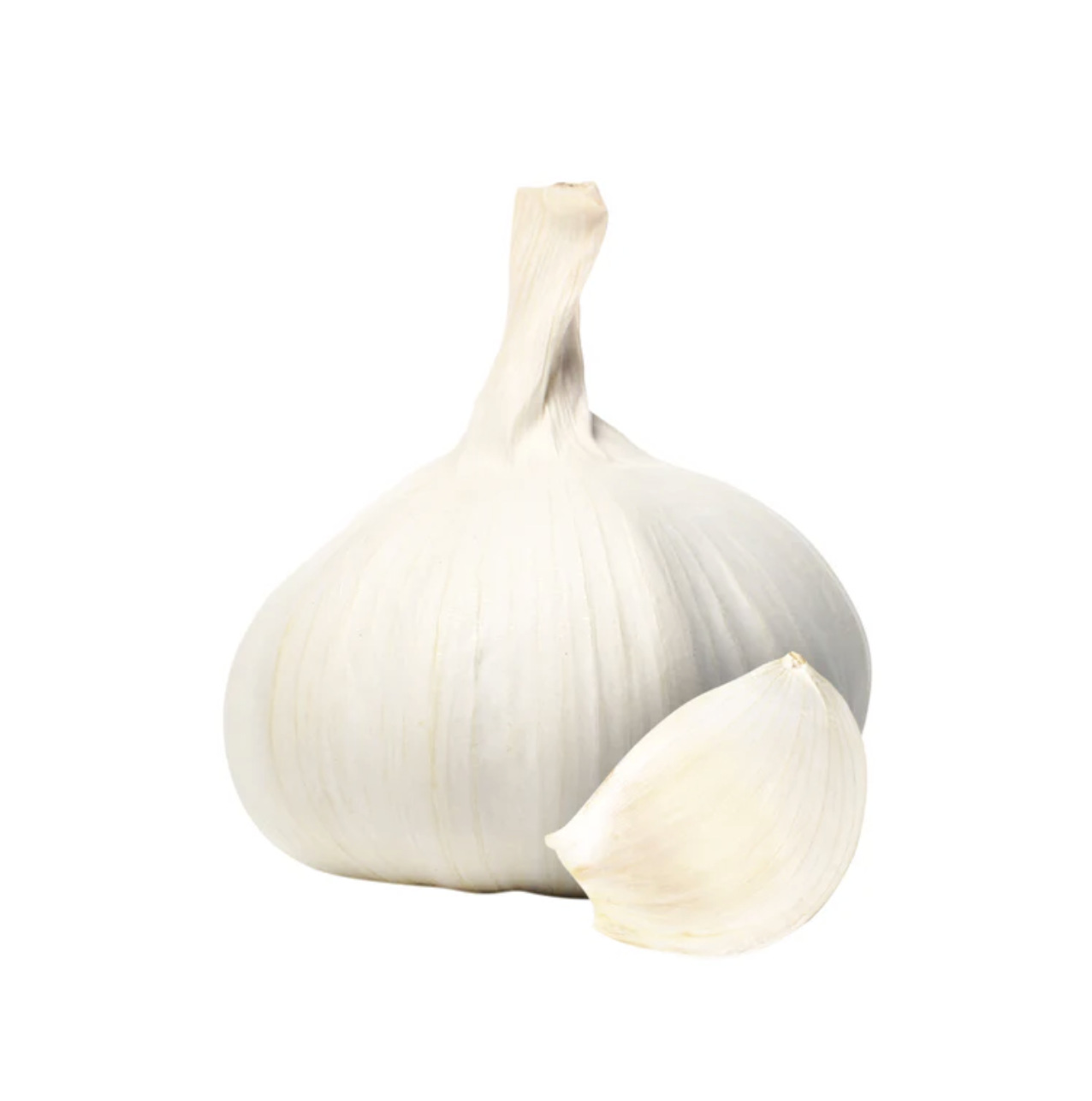 Ajo primera calibre 6